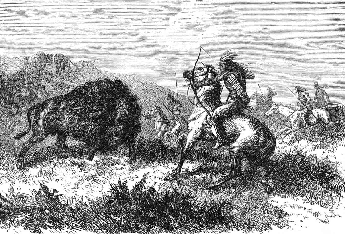 Low Testosterone? Why Beef Liver Could Unlock Your ‘T’ Nahla Earth