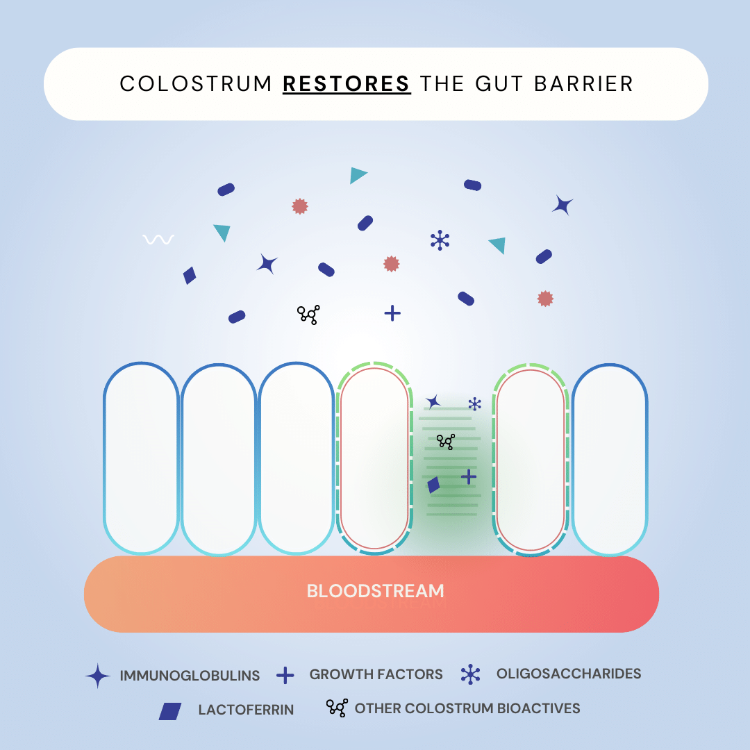 Colostrum+ Gut